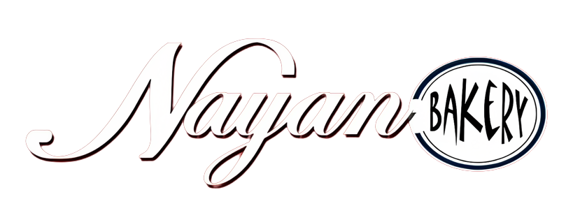 Nayan Logo
